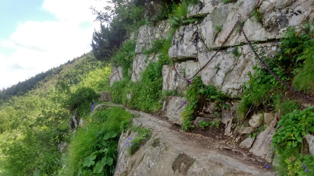 Agroturystyka Lesny Zakatek ستريشافا المظهر الخارجي الصورة